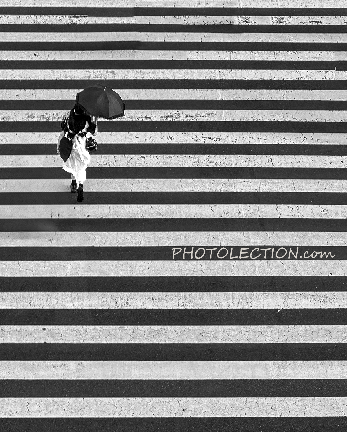 新宿の横断歩道で聞こえてきた声