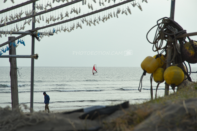 老人と赤いヨット